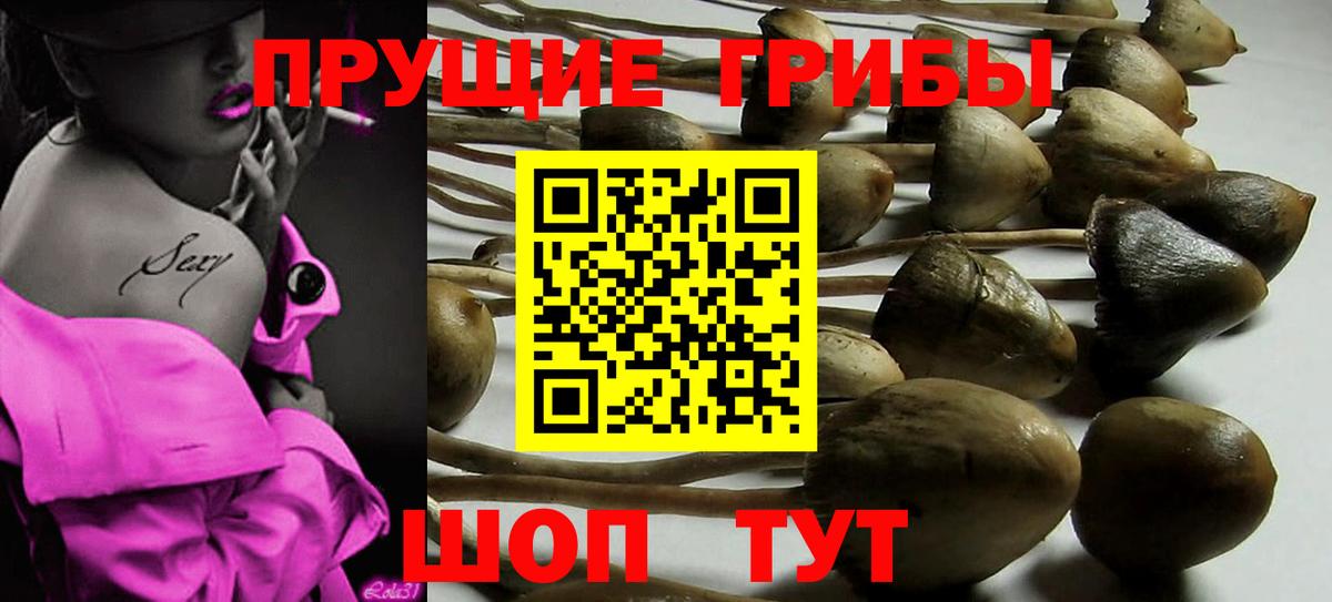 Галлюциногенные грибы мицелий Камышин