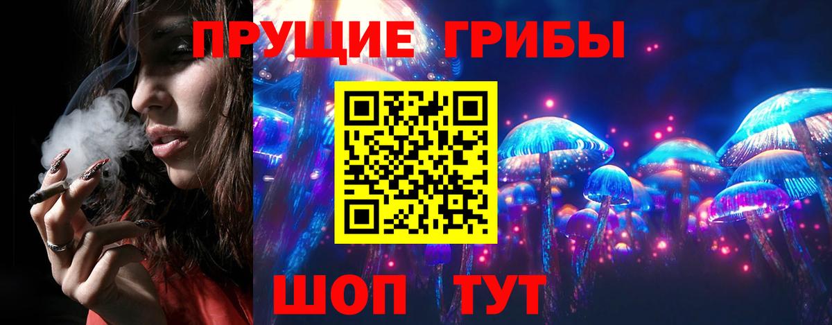 Псилоцибиновые грибы прущие грибы  Галлюциногенные грибы мицелий  Вход с VPN  Камышин 